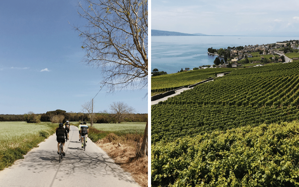 biking through vineyards