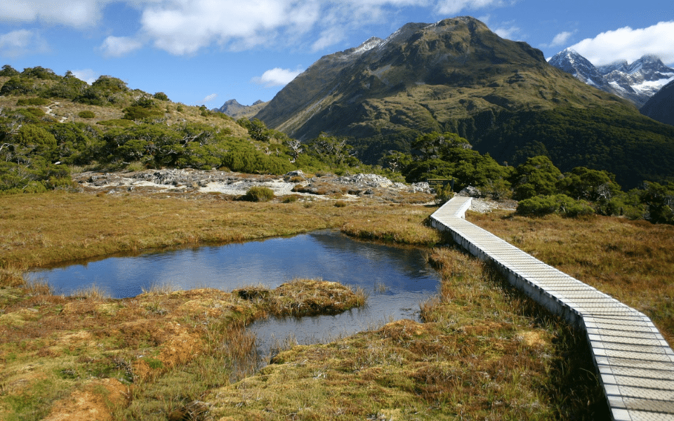 Is New Zealand Finally Open for Travel? The Slow Road Luxury Travel Blog