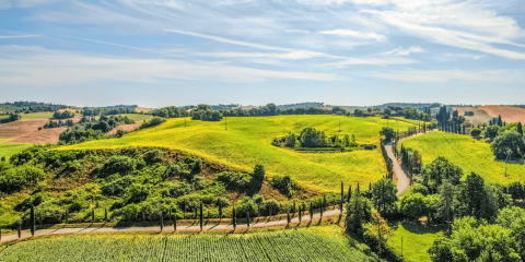 Take on a Challenge on the White Roads of Tuscany