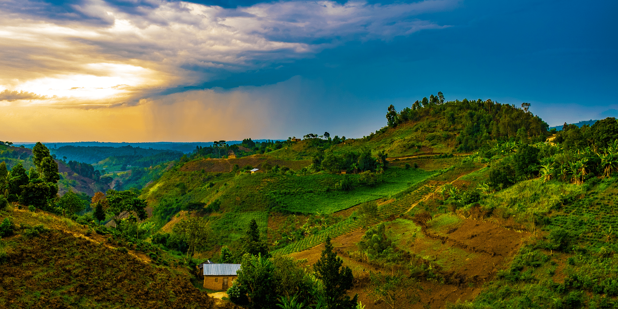 7 Facts That Will Change How You Think About Rwanda | Butterfield & Robinson